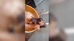 lena the plug dior gianna Show snapchat Adult Webcams porn live sex