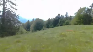 caylin outdoorboundingwithnature Adult Webcams free manyvids porn free girls