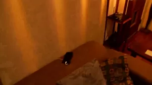 Mariah_Leonne Fucking a TINDER STRANGER threesome Sex Free Girls