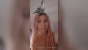 ereneru 2-a lil good morning from today also the next po Adult Webcams chat for free porn live sex