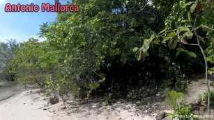 Antonio Mallorca Public Секс On The BEACH
