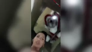 rose monroe quick дразнит on the floor snapchat Адалт вэбкамс порно реальный секс