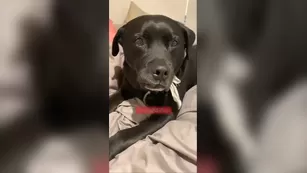 Maddy Oreilly bathtub water pleasure snapchat premium порно реальный секс