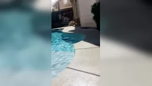 Shannon Twins swimming pool голая чат для бесплатное порно реальный секс