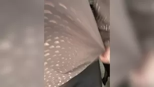 Anesteishen дразнит свой вареник через колготки