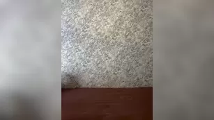 VII-VII-VII ты точно захочешь лизнуть мою пилотку