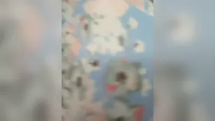 Anesteishen любишь разглядывать письки, тогда смотри мою