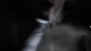 Сисястая красавица Alina развлекается с секс игрушкой