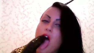 Порочная самка zlata888 облизывает резиновый хуй