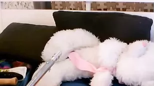 Соблазнительная курва _Xenia_ трахает очко фак машиной