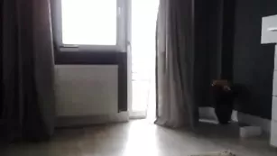 Горячая курва Yveline облизывает секс игрушку