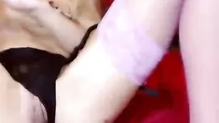 Заводная шкура MyAFox оседлала самотык