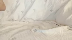 Топовая шлюшка SexySabotage трахает себя пальчиками