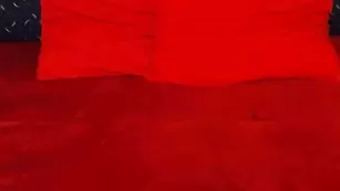 Грудастая шлендра Hustlerstar трахает бритую киску