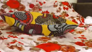 Желанная модель Lecinda обнажает бритые дырочки