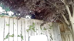 Шмара jazzmin69papi сосет хуй и дрочит щелки