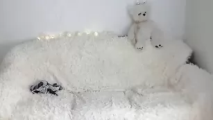 Черноволосая самка трахает себя пальчиками Ashleybulgari