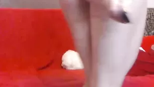 Изысканная краля nikisport развлекается в привате