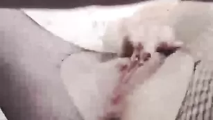 XBestParaX вылизывает киску крошки в сетчатых колготках