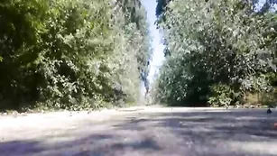 elizaboy Elizaboy разгуливает в женском прикиде в парке Пазарджика