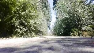 elizaboy Elizaboy разгуливает в женском прикиде в парке Пазарджика