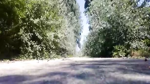 elizaboy Elizaboy разгуливает в женском прикиде в парке Пазарджика