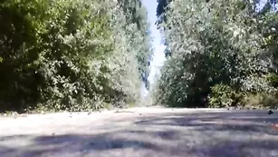 elizaboy Elizaboy разгуливает в женском прикиде в парке Пазарджика