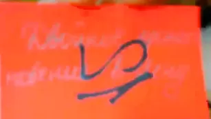 Знойные брюнетки TweetyBirdss лижут пизду