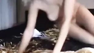 Загорелая сучка BlackFox обнажает свои прелести