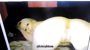 Развратная курва mellissa трахает себя пальчиками