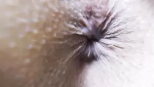 Юная шлюшка показывает киску и анал