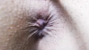 Юная шлюшка показывает киску и анал