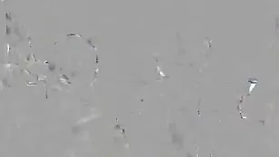 Худые телочки отсасывают члены 4touch