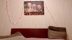 Роскошная Charming_Girls трахает киску ловенсом и стонет