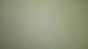 Грудастая куколка jadensmit123321333 отсасывает хуй