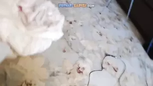 Blonde_Milfy домашний анал от первого лица