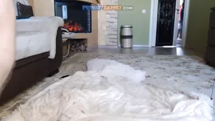 Blonde_Milfy домашний анал от первого лица