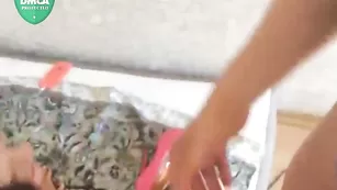 Сладкая малышка сосет хуй Onemillion201