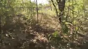 MBlackAWhite делает минет на свежем воздухе  в лесу