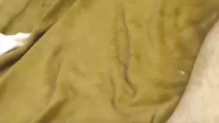 Анальный секс с классной девочкой BeAndBe