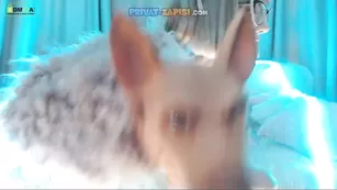 Татуированная девочка с большими сиськами shackle_shot