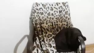 Строптивая модель Tata_bundchen_soft_tits демонстрирует сиськи