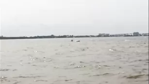 Пикантная соска Blancnoir ебетс на пляже