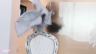 Красивая блудница Kinkymonik танцует стриптиз