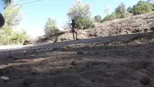 Шикарная курва VicAlouqua ласкает пизду на улице