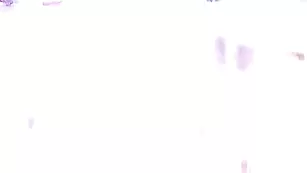 Брюнетка в чулках mizzyplay массирует пизду