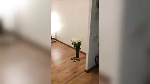 Привлекательная сучка дурачится во фри