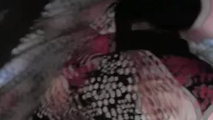 Нежная брюнеточка отсасывает пенис и страстно ебется