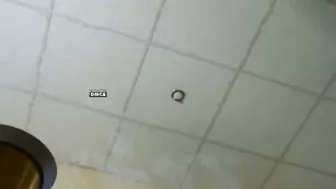 Грудастая дамочка AndrianaLima мастурбирует пизду