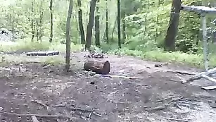 Сочная брюнетка Lilith_the_owl жестко трахает очко